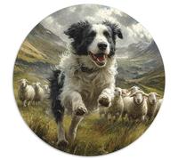 Border Collie Rompecabezas Redondo 1000p Adultos-Niños HaustiEn cambiond Circular Puzzle Niños: Familia Juego Impossible Habilidad Familiar 1000pcs (67.5x67.5cm)