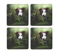 Border Collie Stone Sweet Brown Perros Mascotas,Posavasos Cuadrados de Corcho MDF, Almohadilla para Tazas, Juego de 4 Posavasos para Bebidas