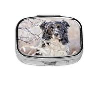 Border Collie Winter Snow White Black Dogs, pastillero de 2 compartimentos, organizador portátil