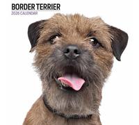 Border Terrier 2026 - Calendario moderno