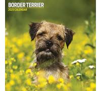 Border Terrier - Calendario tradicional 2025