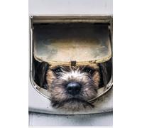 Border Terrier Notebook - 120 Lined Pages - 6" x 9" - Perfect for Journal, Doodling and Notes: Study Book - Notebook with Dog - Lined Paper (Animal Notebooks)