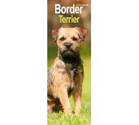 Border Terrier Slim Calendar 2026 Dog Breed Slimline Calendar - 12 Month