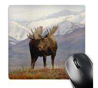 Bordes Cosidos Alfombrilla Gaming Alce Vaca Vida Silvestre Parque Nacional Denali Alaska Steve Kazlowski 25X30Cm, Alfombrilla De Ratón Mejora La Precisión Y La Velocidad Mouse Mat