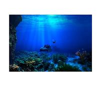 BORDSTRACT Póster de Fondo Seaworld, Fondo de Acuario, decoración de Peces, póster Adhesivo de PVC de Doble Cara para decoración de peceras de Acuario (91 * 50cm)