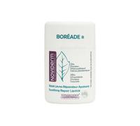Boréade R Stick Labios 11ml