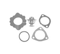 Borg & Beck BBT010 - Kit de termostato para Citroen, Jaguar, Nissan y Peugeot