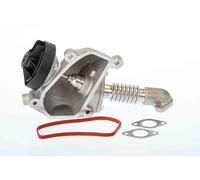 BorgWarner AGR-VENTIL Neumático Para Mercedes-Benz Sprinter 3-T Kasten 313 CDI