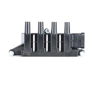 BorgWarner (BERU) ZS079 Bobina de encendido 12V para FORD KA (RU8) para FIAT 500