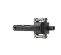 BorgWarner (BERU) ZS340 Bobina de encendido 12V para SSANGYONG RODIUS