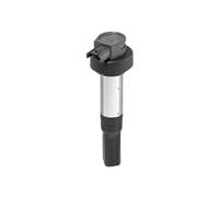 BorgWarner (BERU) ZSE227 Bobina de encendido