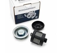 BorgWarner Filtro Hidráulico Haldex DS120456 Para VW Audi Seat Skoda 02D598574