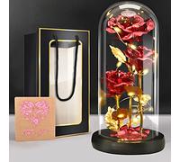 BoriYa Regalo Dia de la Madre - Rose Regalo para Mujer, Rosa Eterna en Cupula de Cristal, Rose Bella y Bestia Preservada en Vidrio, Flor Eternas Rosas con LED, Ideas Regalos Mama Cumpleaños