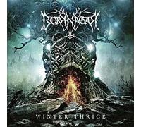 Borknagar - Borknagar - Winter Thrice [Vinilo]