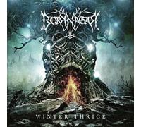 Borknagar Winter Thrice (Vinyl) 12" Album (Clear vinyl)