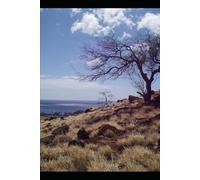 BORN AT THE BORDER: From Survival to Responsibility (A Novel Based on a True Story): 2 (BECOMING LIGHT IN DARKNESS JOURNEY)