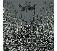 Born From the Dark Rib