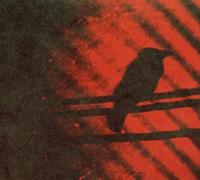 Born Into Trouble As the Spark