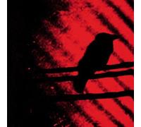 Born Into Trouble As the Spark