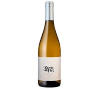 Born of Fire Chenin Blanc Organic 2024 - Julien Schaal