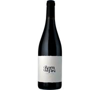 Born of Fire Syrah Ecológico 2024 - Sophie Schaal