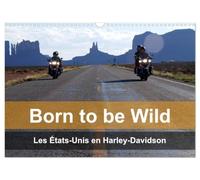 Born to be wild - Les États-Unis en Harley-Davidson (Calendrier mural 2027 DIN A3 vertical), CALVENDO calendrier mensuel: Les magnifiques paysages du Sud-Ouest américain vus de la selle d'une Harley
