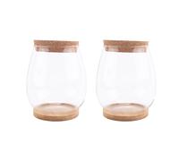 Bortivier Estaciones de PropagacióN de Plantas, Terrario de Plantas de Escritorio Separado de 2 Piezas con Bandeja de Madera y Tapa para PropagacióN HidropóNica