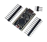 Bortivier Placa De Desarrollo NRF52840 Compatible con El De GestióN De Carga Bluetooth Nice Nano V2.0 ProMicro NRF52840