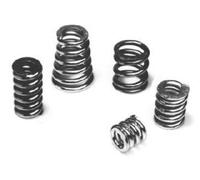 BOSAL Muelle, tubo de escape para NISSAN: Micra, Almera, Primera, Note & SUZUKI: Grand Vitara, Splash, SX4, Samuraï, Swift, Vitara (Ref: 251-001)