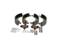 BOSCH 0 204 113 528 Kit frenos disco de tambor con cilindro de freno de rueda con accesorios Trasero