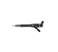BOSCH 0 445 110 250 Inyector