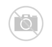 BOSCH 1 420 100 608 Arandela
