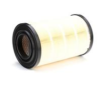 BOSCH 1 457 433 790 Filtro de aire para FIAT DUCATO Caja/Chasis (244)