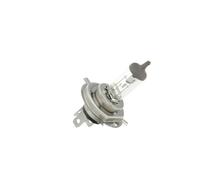 BOSCH LÃ¡mpara, faro principal para SEAT: Ibiza, Cordoba, Alhambra, Marbella, Arosa, Inca, Mii, Malaga & CITROÃN: Xsara Picasso (Ref: 1 987 301 001)