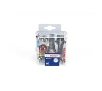 Juego de bombillas BOSCH H7/H1 Maxibox +P21W T4W PY21W P21/5W W5W 2x10A 1x15A 1x20A