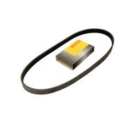 Bosch Correa poli V 1 987 946 027 – trapezoidal nervada