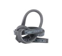 Bosch 1 987 946 215 correa de distribución