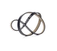 BOSCH 1 987 946 804 Correa dentada