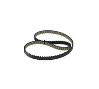 BOSCH 1 987 946 813 Correa dentada