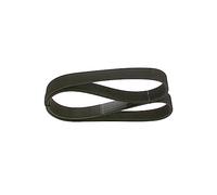 BOSCH 1 987 947 038 Correa trapecial poli V Correa Poly V Correa poli V Correa de accesorios