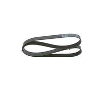 BOSCH 1 987 947 054 Correa trapecial poli V