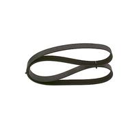 BOSCH 1 987 947 376 Correa trapecial poli V