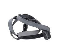 Bosch Correa poly V 1 987 947 551 para Mercedes-Benz Clase ML/G/E/S y Kia Sorento