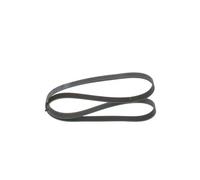 BOSCH 1 987 947 561 Correa trapecial poli V