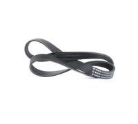 BOSCH 1 987 947 816 Correa trapecial poli V