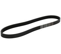 BOSCH 1 987 948 486 Correa trapecial poli V