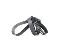 BOSCH 1 987 948 498 Correa trapecial poli V