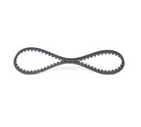 BOSCH 1 987 949 443 Correa dentada