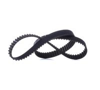 BOSCH 1 987 949 564 Correa dentada