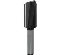 Bosch 1x Broca fresadora recta PRO, dos acanaladuras (para Madera blanda, Madera dura, Ø 16 mm, Professional Accesorios Fresadora portátil, Fresadora para recorte)